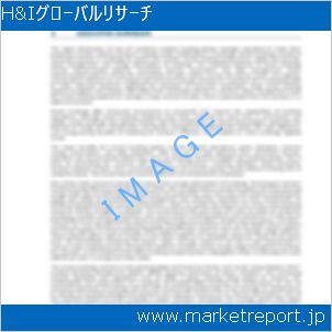 市場と産業調査レポートのイメージ